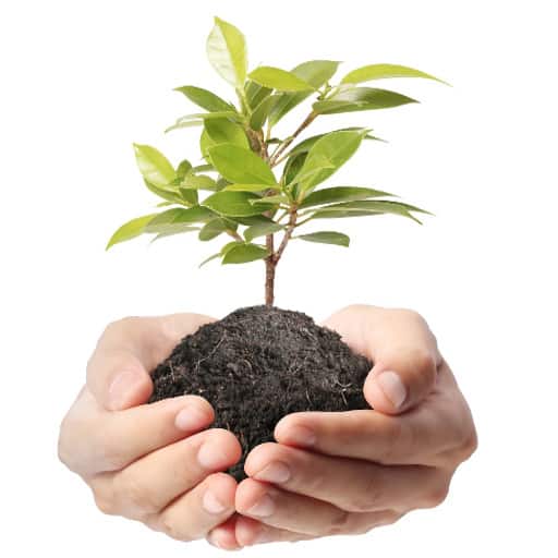 Coummunity Counselling and Care